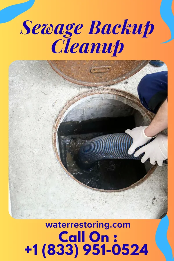 Sewage Backup Cleanup in Fredonia, PA