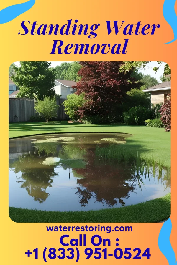 Standing Water Removal in Fredonia, PA
